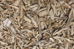 biomass boilers Stranog