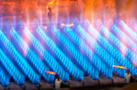 Stranog gas fired boilers